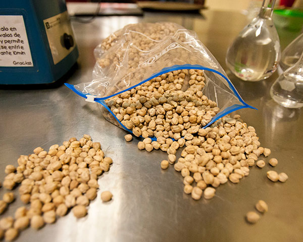 Garbanzo cocido reduce incidencia de cáncer de colon